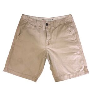 American Eagle Outfitters Tan Flat Front Shorts